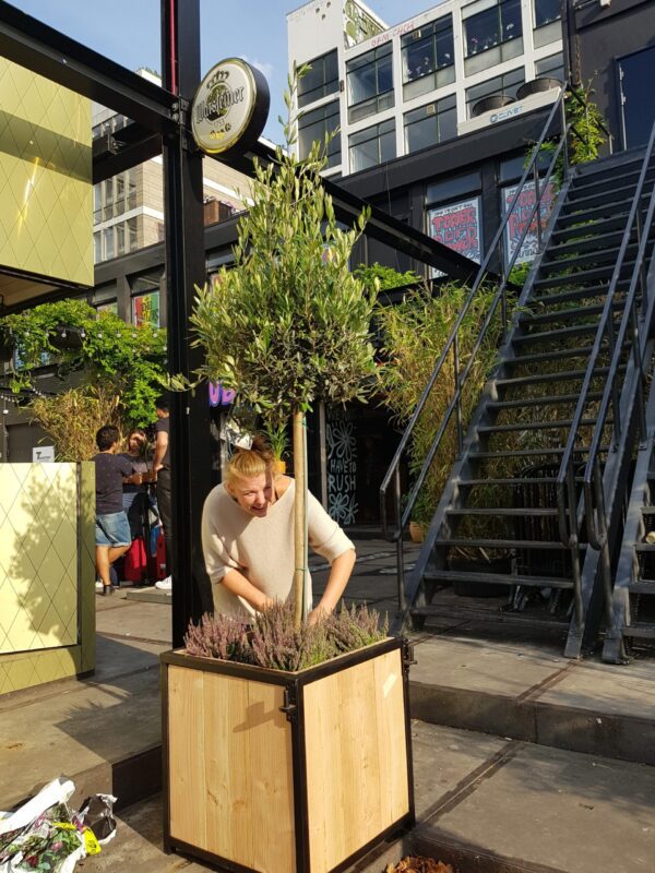 Stalen bloembak boombak Douglas stalen frame terras planten