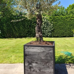 Grote Boombak douglas hout staal stalen frame5) (1) Stalen Boombak douglas hout zwart stalen frame tuin terras