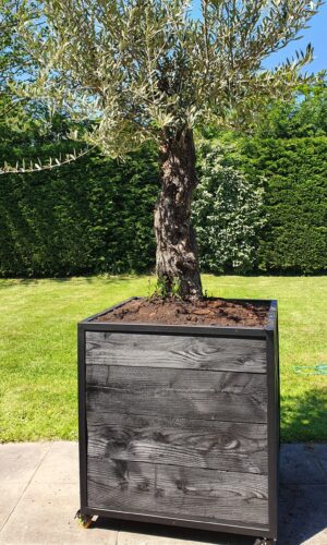 Stalen Boombak douglas hout zwart stalen frame tuin terras