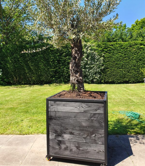 Stalen Boombak douglas hout zwart stalen frame tuin terras