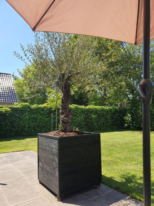 Stalen Boombak plantenbak douglas hout zwart stalen frame tuin terras