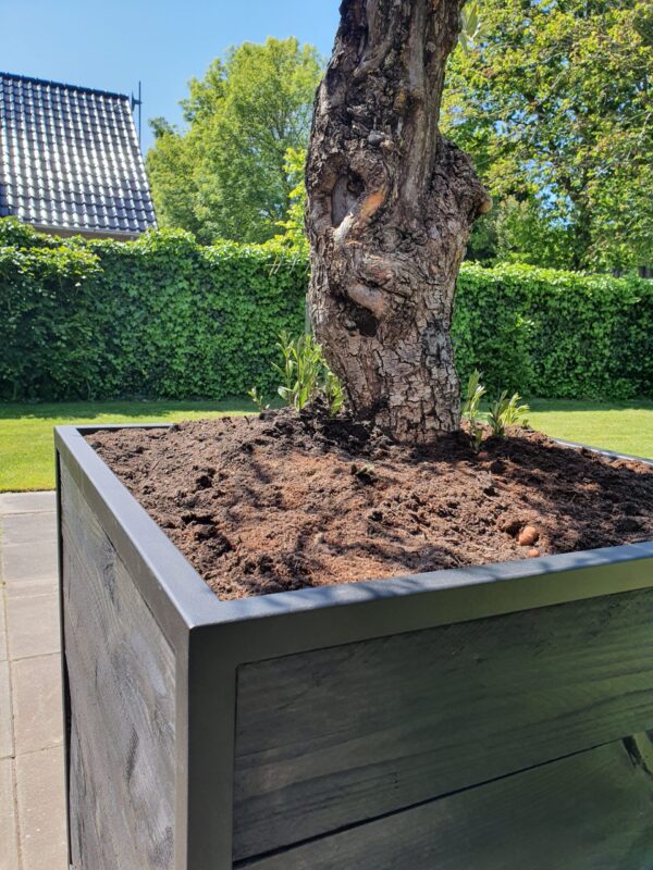 Stalen Boombak plantenbak douglas hout zwart stalen frame tuin terras