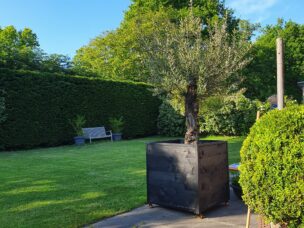 {{brizy_dc_image_alt imageSrc=